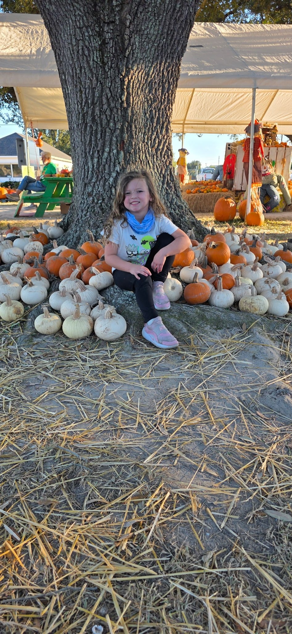 Child sitting under a large tree surrounded by pumpkins at the patch